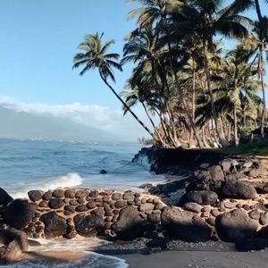 Meet your Posher, Pumehana